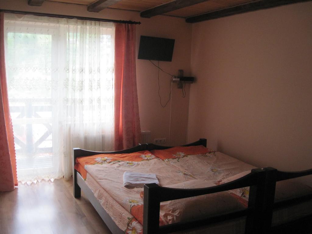 Guest House Stari Druzy Slavske Værelse billede